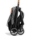 Joie Passeggino Parcel Signature - Carbon - Leggero e Compatto - dalla Nascita ai 4 Anni! Passeggini Leggeri