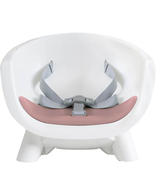 Joie Seggiolone Chestnut 9in1 - Lola - dalla Nascita ai 3 anni Seggioloni Pappa