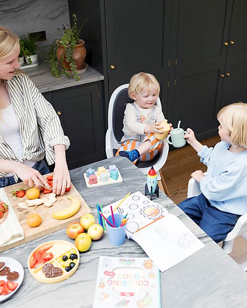 Joie Seggiolone Chestnut 9in1 - Mist - dalla Nascita ai 3 anni Seggioloni Pappa