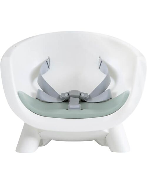 Joie Seggiolone Chestnut 9in1 - Mist - dalla Nascita ai 3 anni Seggioloni Pappa