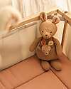 Jollein Peluche con Cucciolo Estraibile - Kangaroots - Morbido e Sicuro Peluche