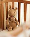 Jollein Peluche con Cucciolo Estraibile - Kangaroots - Morbido e Sicuro Peluche