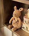 Jollein Peluche con Cucciolo Estraibile - Kangaroots - Morbido e Sicuro Peluche