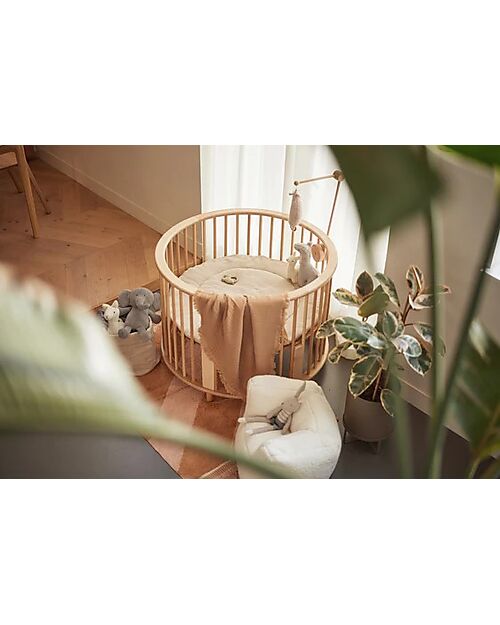 Jollein Supporto per Giochi - Perfetto da Attaccare al Box - 100% Legno Giostrine