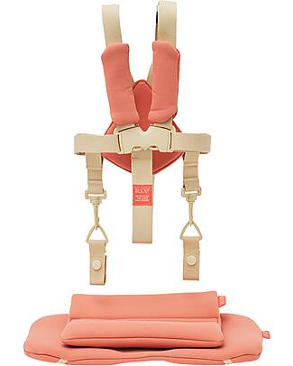 KAOS Set Cintura a 5 Punti + Cuscino per Sedia Evolutiva KLAPP - Terracotta Accessori per Seggioloni