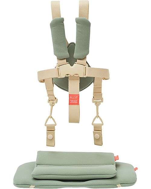 KAOS Set Cintura a 5 Punti + Cuscino per Sedia Evolutiva KLAPP - Verde Accessori per Seggioloni