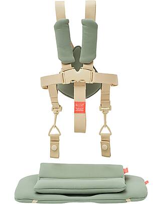 KAOS Set Cintura a 5 Punti + Cuscino per Sedia Evolutiva KLAPP - Verde Accessori per Seggioloni