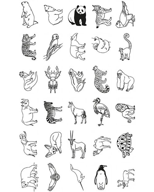 Kidywolf Ricarica per Kidydraw Mini - Animali e Pirati Disegnare e Colorare