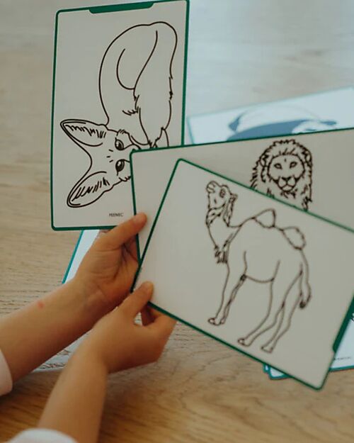 Kidywolf Ricarica per Kidydraw Mini - Animali e Pirati Disegnare e Colorare