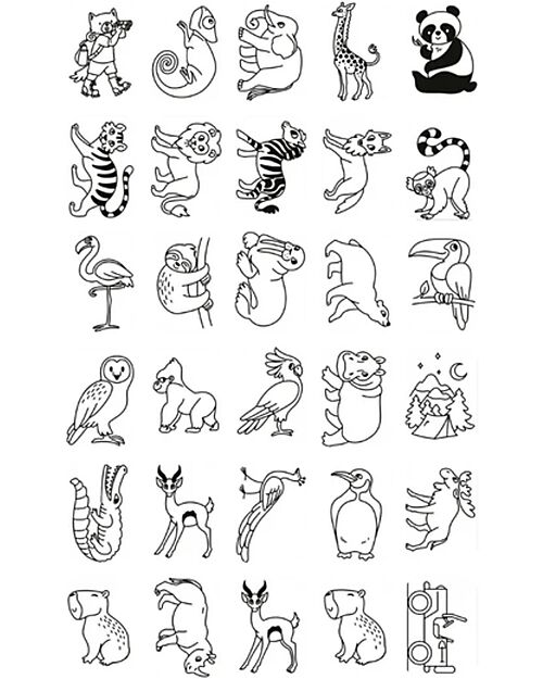 Kidywolf Ricarica per Kidydraw Mini - Fiabe e Animali Disegnare e Colorare