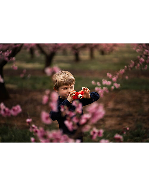 Kiimento Fotocamera Digitale Kiimento - Akito la Volpe - Foto e Video - Dai 4 Anni Macchine Fotografiche