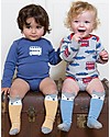 Kite Calzini Lunghi Bimbo, 2 paia - Fox la Volpe, Blu/Ocra - Cotone Bio Calzini
