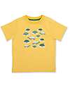 Kite T-shirt - Giant Tortoise - Giallo - 100% Cotone Bio T-shirt