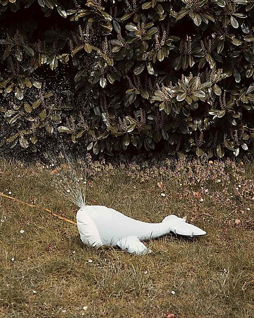 Konges Slojd Balenottera Spruzza Acqua -80x32 cm Giochi da Spiaggia