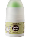 La Saponaria Biodeo Fresh, Deodorante Bio con Tè, Zenzero e Lime, 50 ml - Senza sali di alluminio e alcool Deodoranti