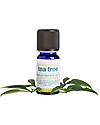 La Saponaria Olio Essenziale di Tea Tree Bio, 10 ml - Tonico e vitalizzante contro stress e depressione Creme e Olii