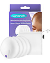 Lansinoh Coppette Assorbilatte Lavabili - 4 Pezzi - Forma Anatomica - Bordi Antiscivolo  Coppette Assorbilatte