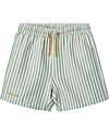 Liewood Costume a Pantaloncino Duke - A Righe - Verde Menta e Crema Boxer Mare