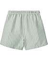 Liewood Costume a Pantaloncino Duke - A Righe - Verde Menta e Crema Boxer Mare