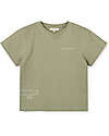 Liewood Maglia a Maniche Corte Sixten - Verde - 100% Cotone Bio T-shirt