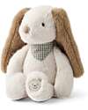 Liewood Peluche Binnie il Cane Piccolo - Sabbia - 16 cm - Materiale Riciclato Peluche