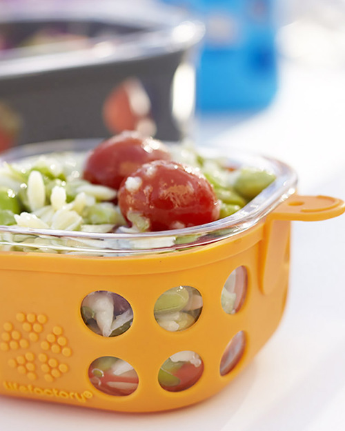 Lifefactory Contenitore Portacibo di Vetro 950ml - Verde Bosco Contenitori per Alimenti