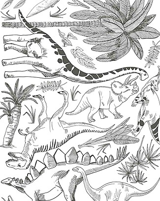 Lilipinso Adesivi da Parete in Vinile - Dinosauri e Piante Adesivi da Parete