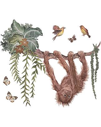 Lilipinso Decalcomania da parete taglia speciale - Utan: Giovane orongotango sulla liana Decorazioni da Parete