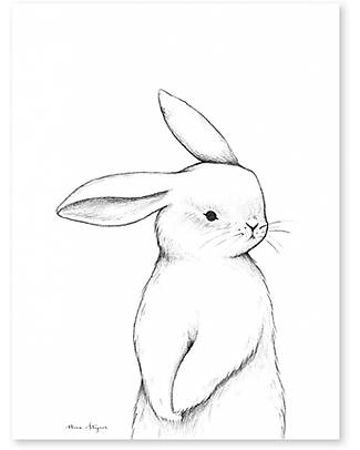 Lilipinso Poster (30x40 cm) - Coniglietto Decorazioni da Parete