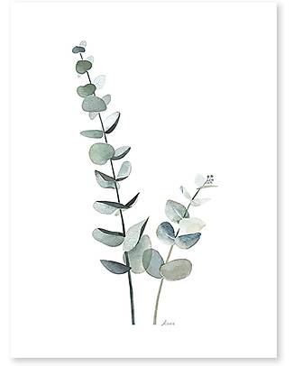 Lilipinso Poster (30x40 cm) - Fogliame di eucalipto Decorazioni da Parete