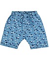 Lilly+Sid Completo Baby 3 Pezzi T-shirt+Pantaloncini+Bavaglino - Pesciolini - 100% cotone bio Pantaloni Corti
