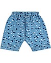 Lilly+Sid Completo Baby 3 Pezzi T-shirt+Pantaloncini+Bavaglino - Pesciolini - 100% cotone bio Pantaloni Corti