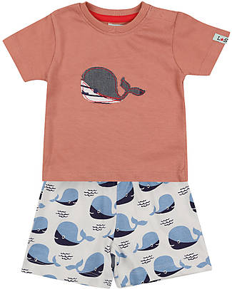 Lilly+Sid Completo Pantaloncini + T-Shirt - Balene - Bianco/Arancio/Blu - 100% Cotone Bio GOTS Completi e Set