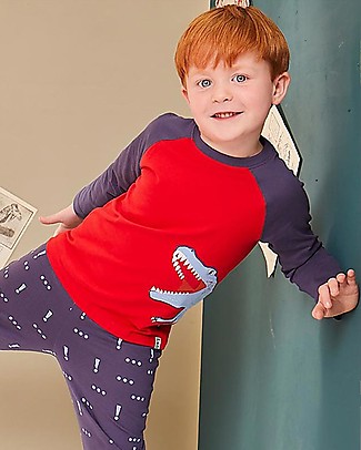 Lilly+Sid Maglia Maniche Raglan - Dinosauro - 100% cotone bio Maglie Manica Lunga