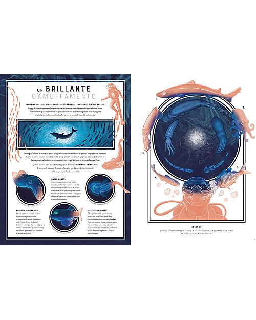 L'ippocampo Ragazzi Bagliori - Le Meraviglie Nascoste della Bioluminescenza - Jennifer Smith Libri