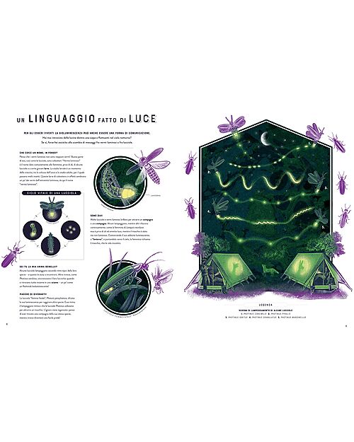 L'ippocampo Ragazzi Bagliori - Le Meraviglie Nascoste della Bioluminescenza - Jennifer Smith Libri