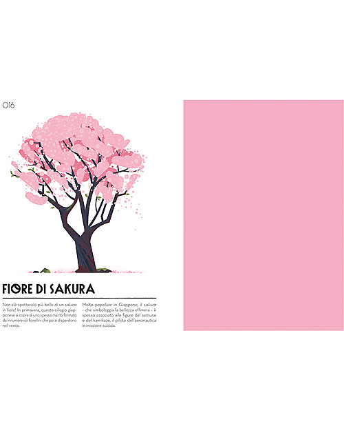 L'ippocampo Ragazzi Colorama, Il mio campionario cromatico - Colori e Disegni Libri