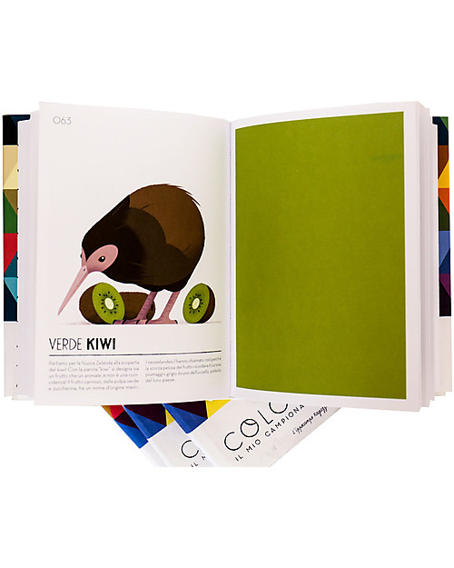 L'ippocampo Ragazzi Colorama, Il mio campionario cromatico - Colori e Disegni Libri