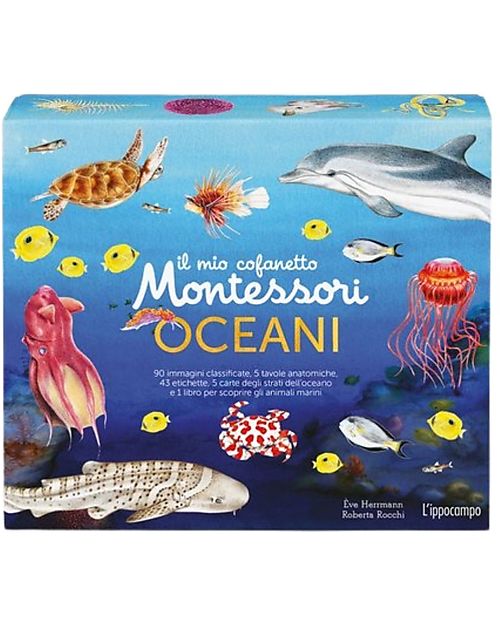 L'ippocampo Ragazzi Il mio Cofanetto Montessori degli Oceani - Eve Hermann e Roberta Rocchi Libri