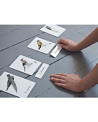 L'ippocampo Ragazzi Il Mio Cofanetto Montessori degli Uccelli - Libretto + Schede + Taccuino osservazione + App canti Attività Montessori