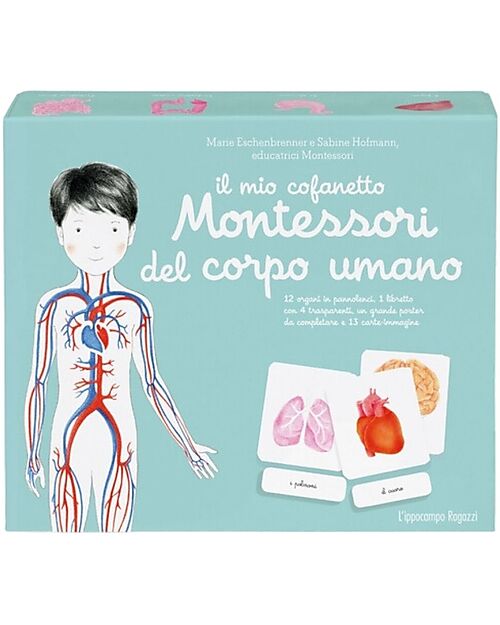 L'ippocampo Ragazzi Il mio Cofanetto Montessori del Corpo Umano - Sabine Hofmann & Marie Eschenbrenner Giochi Montessoriani