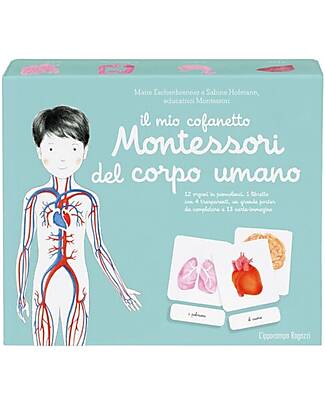 L'ippocampo Ragazzi Il mio Cofanetto Montessori del Corpo Umano - Sabine Hofmann & Marie Eschenbrenner Giochi Montessoriani