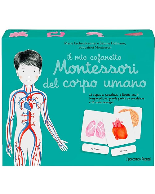 L'ippocampo Ragazzi Il mio Cofanetto Montessori del Corpo Umano - Sabine Hofmann & Marie Eschenbrenner Giochi Montessoriani
