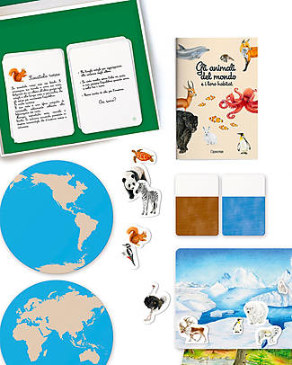 L'ippocampo Ragazzi Il mio Cofanetto Montessori - Gli animali del mondo e il loro habitat - Marie-Hélène Place Libri