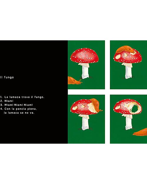 L'ippocampo Ragazzi In 4 Tempi - Edizione Illustrata - di Bernadette Gervais Libri