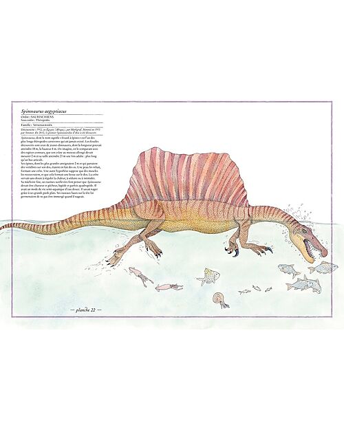 L'ippocampo Ragazzi Inventario Illustrato dei Dinosauri - di Virginie Aladjidi e Emmanuelle Tchoukriel Libri