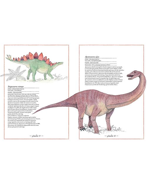 L'ippocampo Ragazzi Inventario Illustrato dei Dinosauri - di Virginie Aladjidi e Emmanuelle Tchoukriel Libri