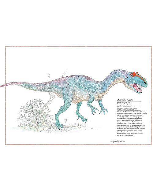 L'ippocampo Ragazzi Inventario Illustrato dei Dinosauri - di Virginie Aladjidi e Emmanuelle Tchoukriel Libri