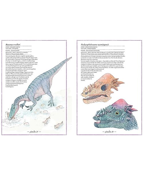 L'ippocampo Ragazzi Inventario Illustrato dei Dinosauri - di Virginie Aladjidi e Emmanuelle Tchoukriel Libri