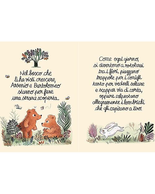 L'ippocampo Ragazzi La Casetta Piccola Piccola - Edizione a Colori - di Michael Escoffier e Clotilde Perrin Libri